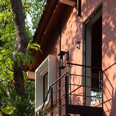 La Paranera Hotel & Relax Comala Ngoại thất bức ảnh