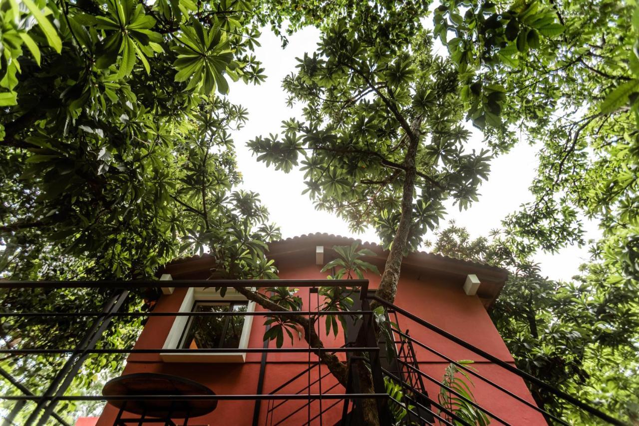 La Paranera Hotel & Relax Comala Ngoại thất bức ảnh
