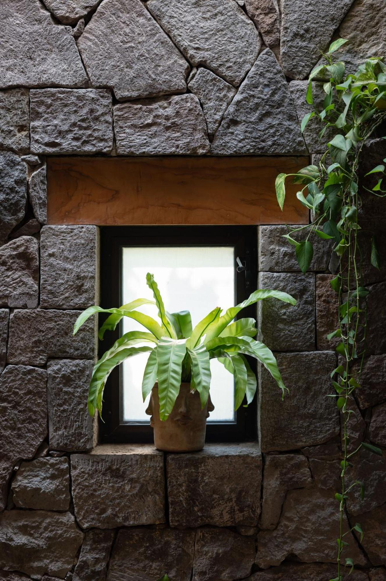 La Paranera Hotel & Relax Comala Ngoại thất bức ảnh